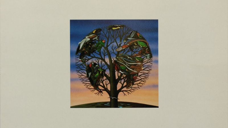 Venham Mais Cinco: Ambient