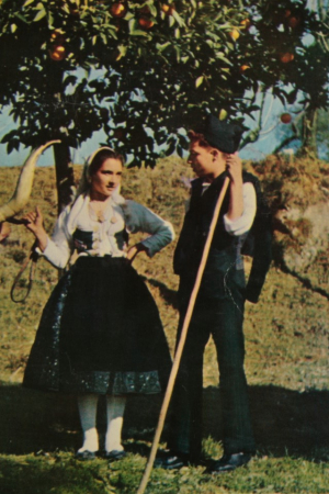 Grupo Folclórico de S. Paio