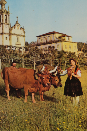 Rancho Folclórico de S. Paio