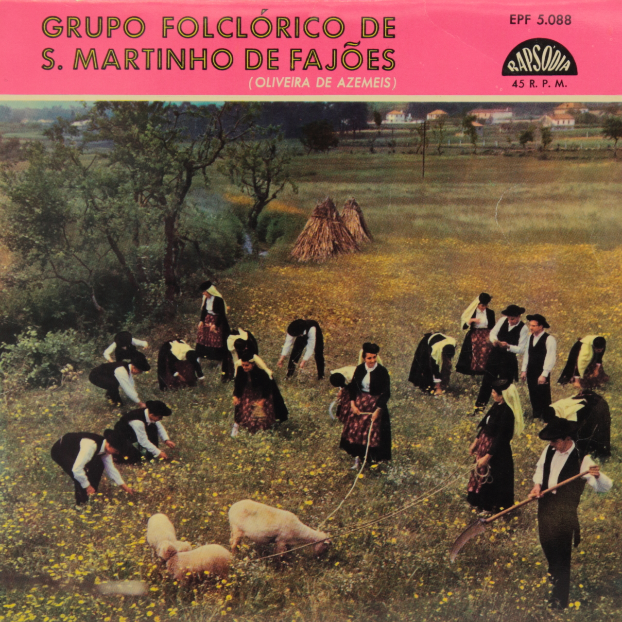 Grupo Folclórico As Ceifeiras de S. Martinho de Fajões