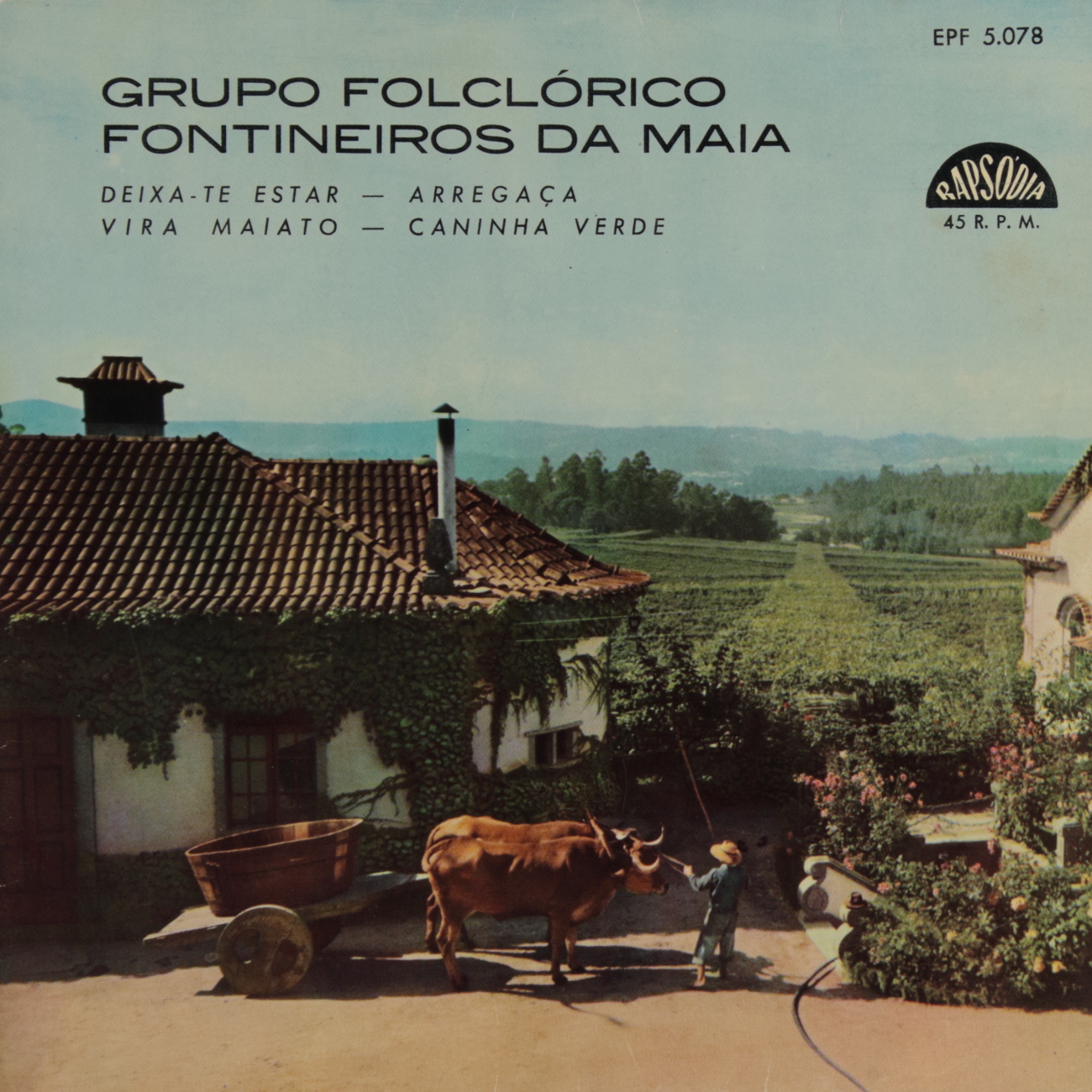Grupo Folclórico Fontineiros da Maia
